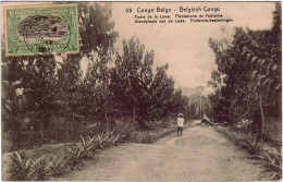 AFRIQUE - CONGO BELGE - Poste De Lowa - Plantation De Funtmia - (Entier Postal) - Petite Animation - D 4492/093 - Congo Belge