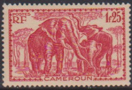 Cameroun 180** - Other & Unclassified