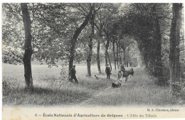 78 Ecole Nationale D'agriculture De Grignon L'allée Des Tilleuls 6 - Grignon