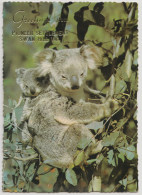 Australia VICTORIA VIC Koalas Greetings From SWAN HILL Murray Views W515 Postcard C1970s - Otros & Sin Clasificación