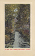BT84. Vintage Postcard. A Small River At Furnas, St. Michael's Azores. Portugal - Açores