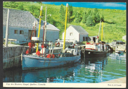 Cap  Des Rosiers  Gaspé Québec - Bateaux De Pêche - Photo Al Cassidy - Gaspé