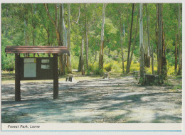 AUSTRALIA VICTORIA VIC Forest Park LORNE Nucolorvue 17LO036 Postcard C1980s - Other & Unclassified