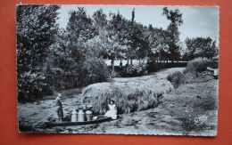 85 - MAILLEZAIS - Les Grandes Douves - Arrivée Du Laitier - Maillezais