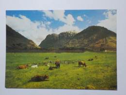 APPIN  Entering Glencoe From The North - Argyllshire