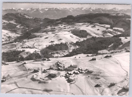 Postkaarten > Europa > Zwitserland > AR Appenzell Ausserrhoden > Trogen Ongebruikt (16013) - Trogen