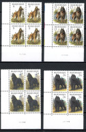 BE   2213 - 2216  XX   ---   Races Canines Belges  --  Bloc De 4  Coin De Feuille - Hoekdatums