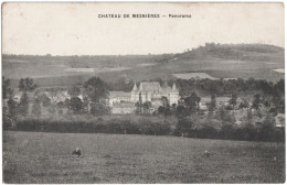 CPA DU CHÂTEAU DE MESNIÈRES-EN-BRAY  (SEINE MARITIME)  PANORAMA - Mesnières-en-Bray