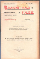 RIVISTA DEL 1908 - RASSEGNA TECNICA PUGLIESE - IL CASALE DI BALSIGNANO PRESSO MODUGNO (BARI) (STAMP332) - Wetenschappelijke Teksten