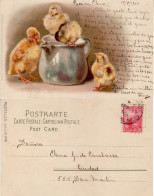 ARGENTINA 1904 POSTCARD SENT TO  BUENOS AIRES - Lettres & Documents