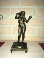 Sculpture En Laiton Femme Nue Debout - Bronzi