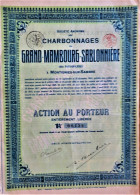 S.A. Des Charbonnages Du Grand Mambourg-Sablonnière - Action Au Porteur  (1917) - Mines