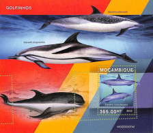 A9073 - Mozambique - ERROR MISPERF Stamp Sheet - 2022 - Marine Life, DOLPHINS - Dauphins