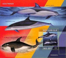 A9072 - Mozambique - ERROR MISPERF Stamp Sheet - 2022 - Marine Life, DOLPHINS - Dauphins