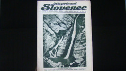 Newspaper Priloga Ilustrirani Slovenec, Znamenitosti Slovenske Zemlje:Slap Savice Nad Bohinjskim Jezerom-izvir Save - Lingue Slave