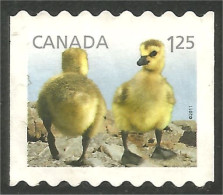 Canada Canard Duck Ente Pato Mint No Gum (109) - Canards