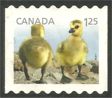 Canada Canard Duck Ente Pato Mint No Gum (109) - Patos