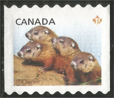 Canada Chiens Prairie Dogs Mint No Gum (6) - Nuovi