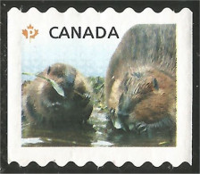 Canada Castor Beaver Mint No Gum (10) - Nuovi