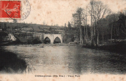 CPA HAUTE VIENNE 87 / CHATEAU PONSAC VIEUX PONT  - Chateauponsac