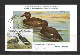 COTE D'IVOIRE 1985 CARTE MAXIMUM CANARD YVERT N°PA100 - Entenvögel
