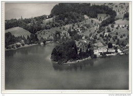 WEGGIS, Vierwaldstättersee - Hotel HERTENSTEIN, Luftbild, Flugaufnahme - 1956 - Weggis