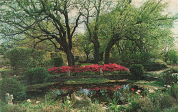 WEATHERFORD - Texas - Famous Gardens Of Douglas Chandor - Autres & Non Classés