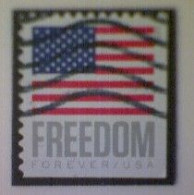 United States, Scott #5790, Used(o) Booklet, 2023, Flag Definitive: Freedom Flag, (63¢) Forever - Gebruikt