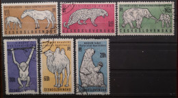 Tschechoslowakei 1962 Wildlebende Säugetiere Mi 1335/40 Schimpanse Schadhaft - Used Stamps