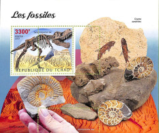 A9632 - TCHAD -  ERROR MISPERF Stamp Sheet - 2021 - Fossils - Fósiles