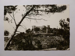 MEYRARGUES (13/Bouches Du Rhône) - Chateau / Hostellerie - Arbre / Vue Des Environs - Meyrargues