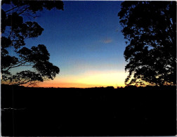 12-2-2024 (4 X 1) Australia - (posted With Cocos Keelng Island Stamp) Tree Ad Sunset - Alberi