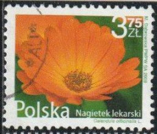 Pologne 2009 Yv. N°4166 - Fleur De Souci Officinal - Oblitéré - Used Stamps