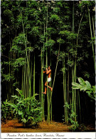 12-2-2024 (4 X 5) USA - Hawaii Paradise Park Bamboo Forest - Arbres