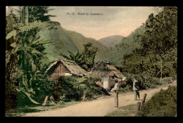 JAMAIQUE - ROAD TO CASTLETON - Jamaïque