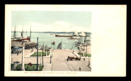 PORTO RICO - SAN JUAN - THE MARINA FROM THE HARBOR - Puerto Rico