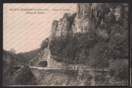 Paire Accolée Timbre 158 5 C. Orange Semeuse Camée Sur CPA 1923 Geney Chambertin Combe Lavaux Tunnel Gevrey 21 Côte D'Or - Gevrey Chambertin