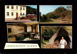 73916985 Hollenberg Pegnitz Landgasthof Schatz Gastraum Holzbackofen Panorama - Pegnitz