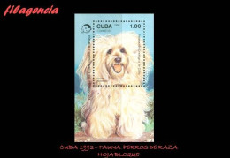 CUBA MINT. 1992-04 FAUNA. PERROS DE RAZA. HOJA BLOQUE - Unused Stamps