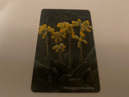 14:482 - Andorra Chip Flower - Andorre