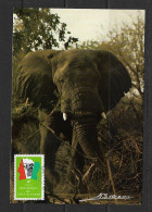 COTE D'IVOIRE 1984  CARTE MAXIMUM  ELEPHANTS YVERT N°685 - Olifanten