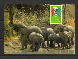 COTE D'IVOIRE 1984  CARTE MAXIMUM  ELEPHANTS YVERT N°685 - Eléphants