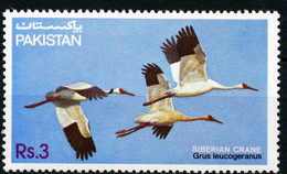 Pakistan 1983 MiNr. 593 Fauna (VIII). Birds Vogel Siberian Crane 1v MNH** 6,00 € - Grues Et Gruiformes