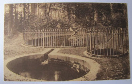 BELGIQUE - HAINAUT - BELOEIL - Le Château - Le Parc - La Belle Baigneuse - 1932 - Beloeil