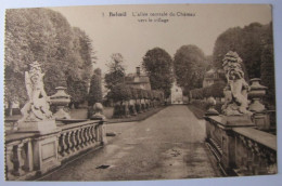 BELGIQUE - HAINAUT - BELOEIL - Le Château - L'Allée Centrale Vers Le Village - Beloeil