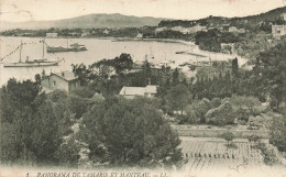 FRANCE - Panorama De Tamaris Et Manteau - LL - Carte Postale Ancienne - Autres & Non Classés