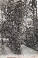 Saint-Prix.L'Avenue Principale Menant à La Propriété "La Solitude". - Saint-Prix