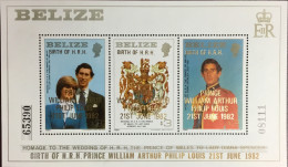 Belize 1982 Birth Of Prince William Minisheet MNH - Belize (1973-...)
