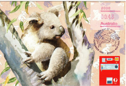 Astralia 1990 FRAMA Koala Maximum Card - Cartoline Maximum
