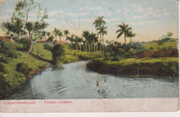 CUBA -  Cuban Landscape. Paisaje Cubano.   VG Habana Postmark 1907 To Wandsworth UK - Undivided Rear - Cuba